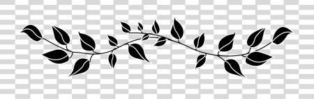 下载 叶子 Divider Leaves Divider 黑色 和 白色 PNG file