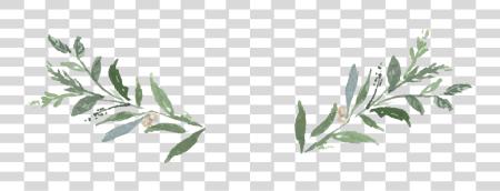 Download Wedding Greenery PNG file