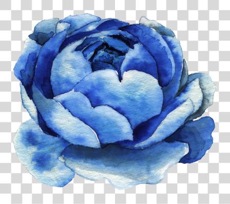 Download azul rosa acuarela azul acuarela flor PNG file