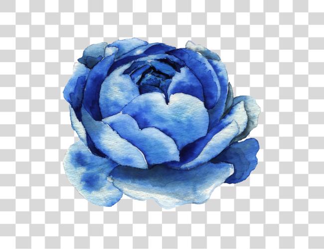 Download Blue Rose Watercolor Blue Watercolor Flower Clip Art