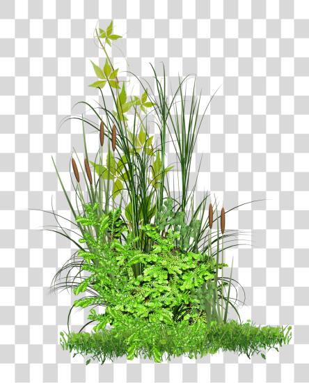 下载 Vgtation Grass 为了 Picsart PNG file