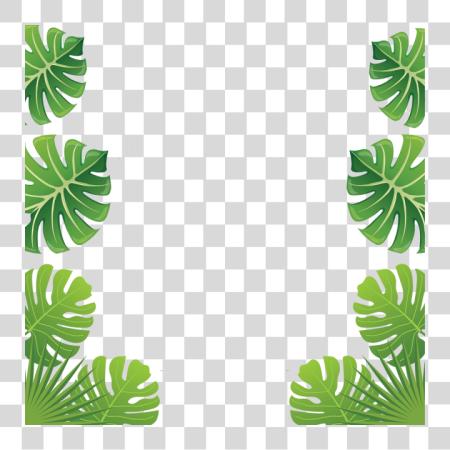 下载 Library Stock Aloha Tropical 叶子 Flowers Leaves Tropical 叶子 Border PNG file