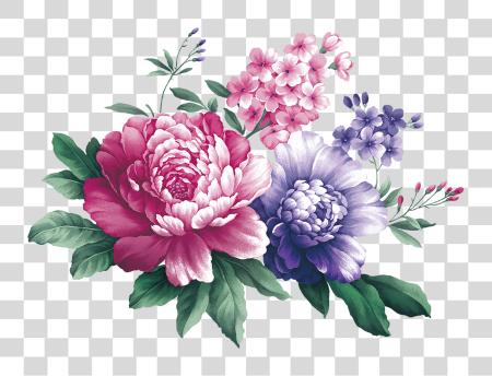 Download negro y blanco Stock floral diseño Centifolia Peony acuarela flor Corner PNG file