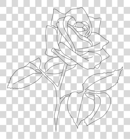 Download Flower Line Rose Line PNG file