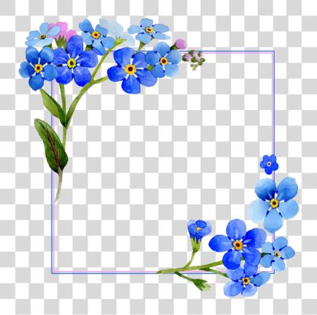 下载 Flowers 水彩 封面 框架 花 水彩 蓝色 花 框架 PNG file