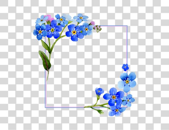 Download flores acuarela cubierta marco flor acuarela azul flor marco Clip arte