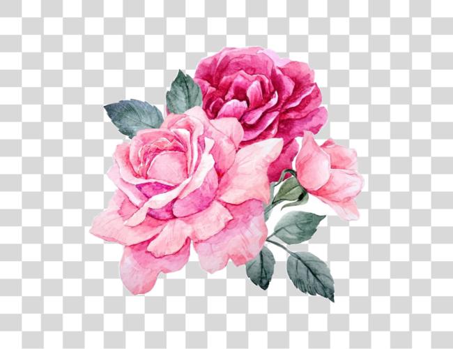 Download flores Stickers estético lindo Filter Clip arte