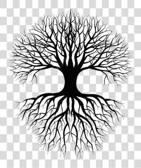 Download Tree Of Life Www Linenlavenderlife Com Copy Tree silueta con Roots PNG file