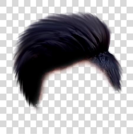 Download Hair Editing Hair PNG file