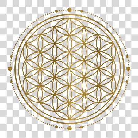 Download Sacred Geometry perfecto flor Of Life PNG file