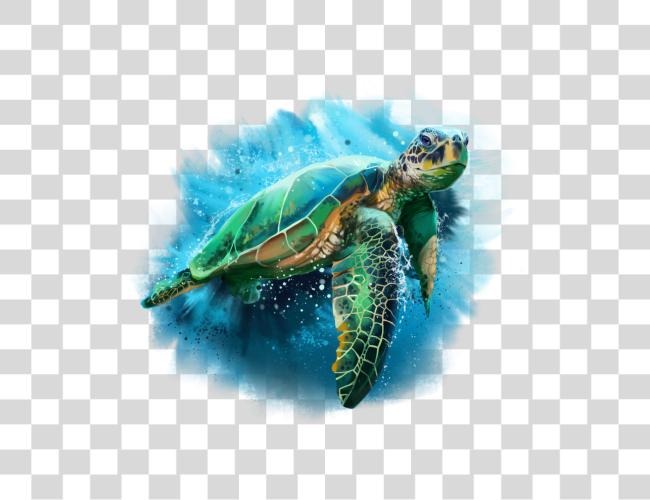 下载 大海 Turtle 水彩 抽象 大海 Turtle Clip 艺术