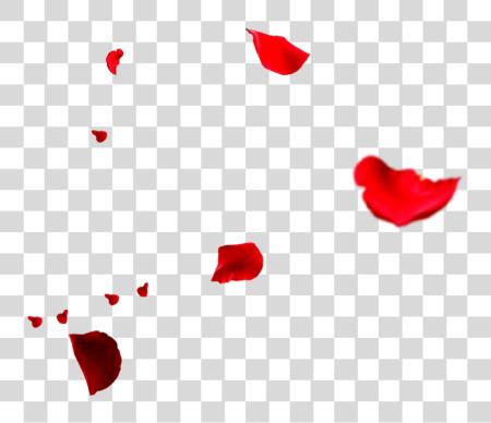 Download Rose Flower Petals Falling Transprent Falling Rose Petals PNG file