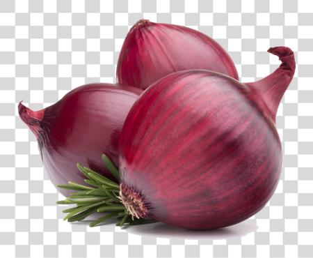 下载 紅 Onion Onion PNG file