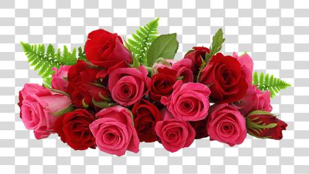 Download Rose Clipart 30 Flowers Red Rose PNG file