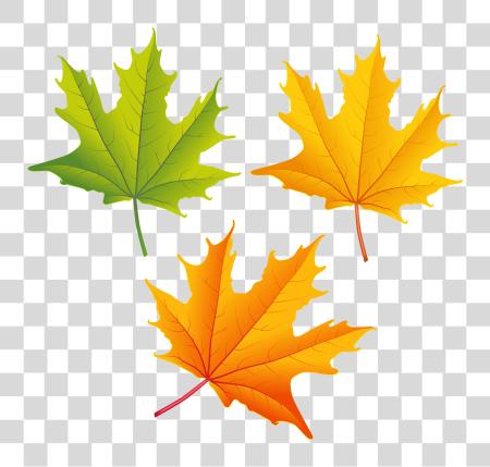 下载 一套 Of Autumn Leaves Image Autumn Leaves PNG file