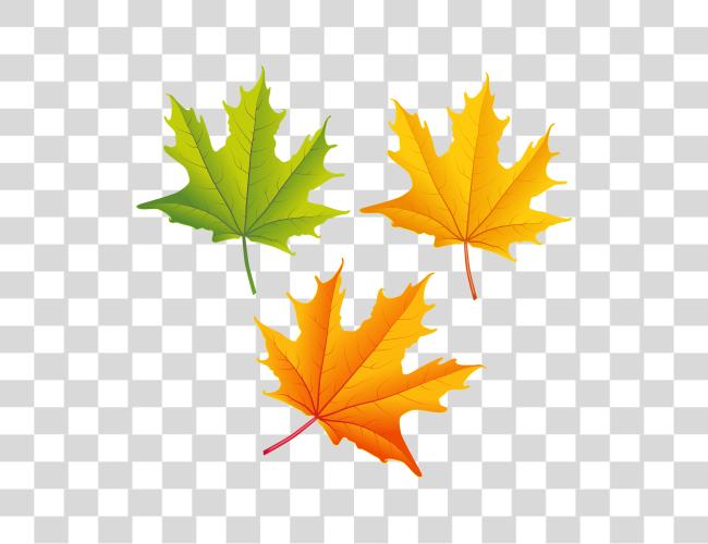 Download Set Of Autumn Leaves Image Autumn Leaves Clip Art