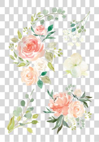 Download Watercolorflowers mano dibujado Flowers PNG file