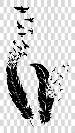 下载 鳥 Of 一个 Feather Feather 和 鳥 PNG file