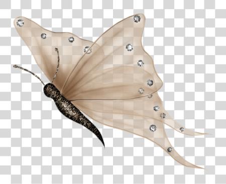 Download mariposa blanco mariposa blanco PNG file