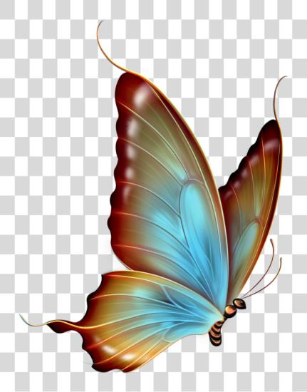 Download mariposa PNG file