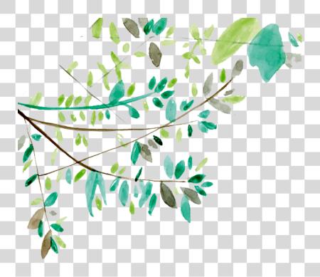 下载 Vines 水彩 Tree Branches 與 Leaves 水彩 PNG file