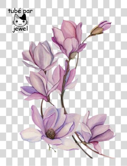 تحميل وشم زهرة Watercolour Watercolor زهور Painting وشم Watercolor Magnolia بي ان جي ملف