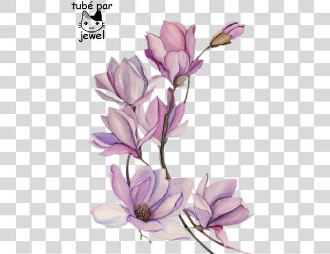 تحميل وشم زهرة Watercolour ألوان مائية زهور لوحة وشم ألوان مائية Magnolia مقطوعة فن