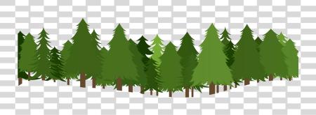 Download Forest Photo Pine Tree Forest PNG file