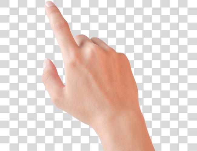 Download Pointing Finger Real Hand Pointing Clip Art