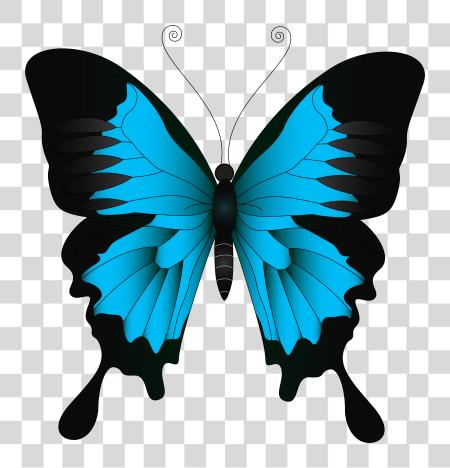 Download azul mariposa Image mariposa PNG file