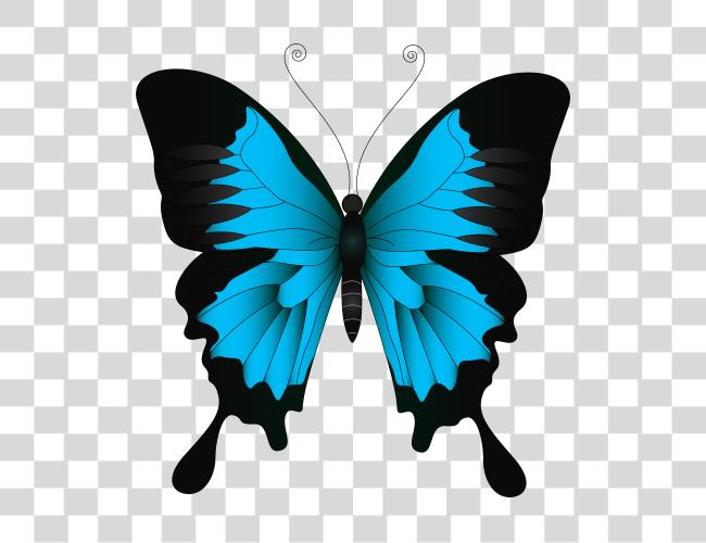 Download Blue Butterfly Image Butterfly Clip Art