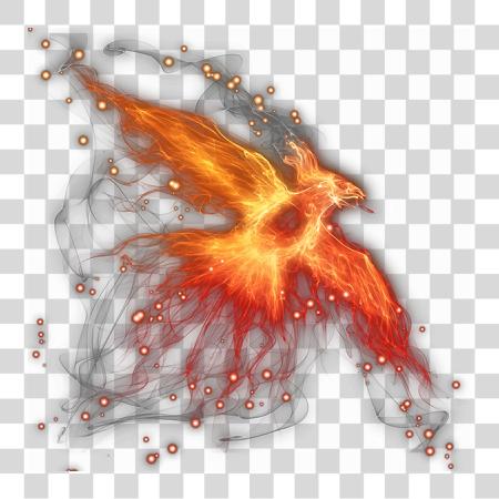 Download fénix fuego fénix PNG file