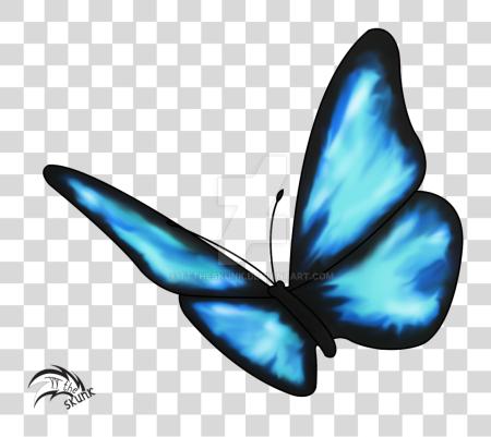 Download Life Is Strange Blue Butterfly Tattoo Butterfly From Life Is Strange PNG file