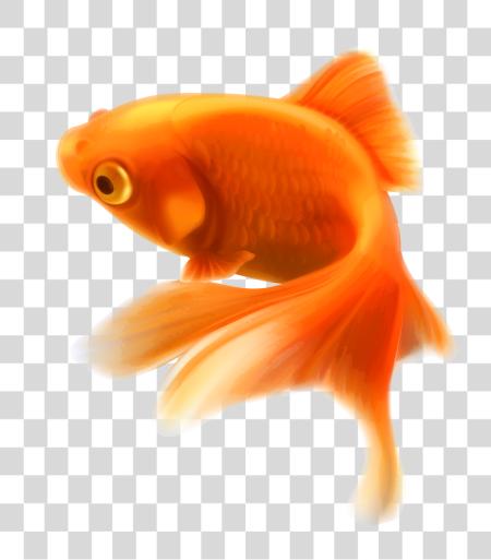 Download Fish PNG file