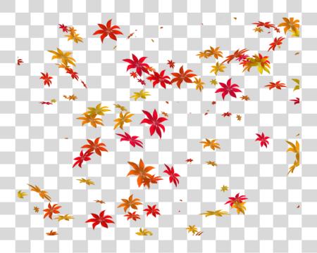 Download Autumn Leaves Colorful Foliage Nature Decor PNG file