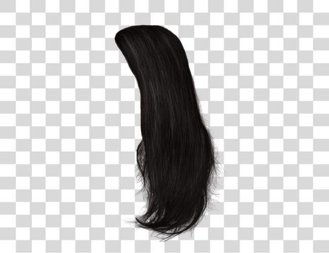 Download Hair Clip Art