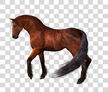 Download Horse PNG file