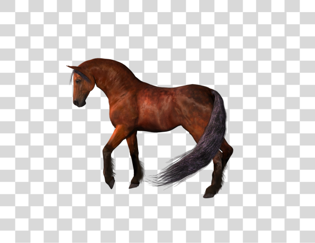 Download Horse Clip Art