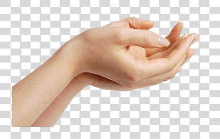 Download Hand Gesture Techniques for Delicate Touch PNG file