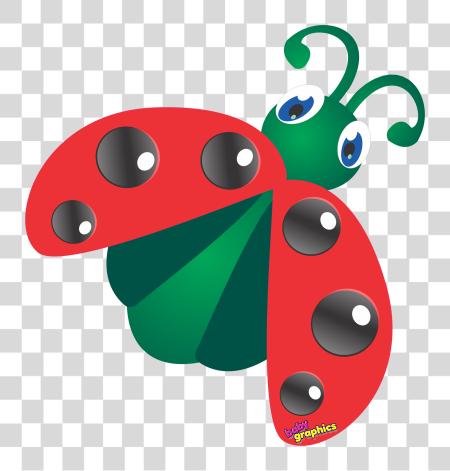 Download Ladybug PNG file