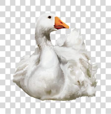 Download Duck PNG file