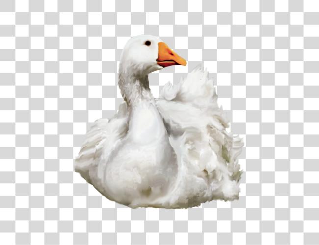 Download Duck Clip Art