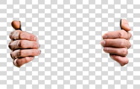 Download Hands Gesture and Open Palms Communication PNG file