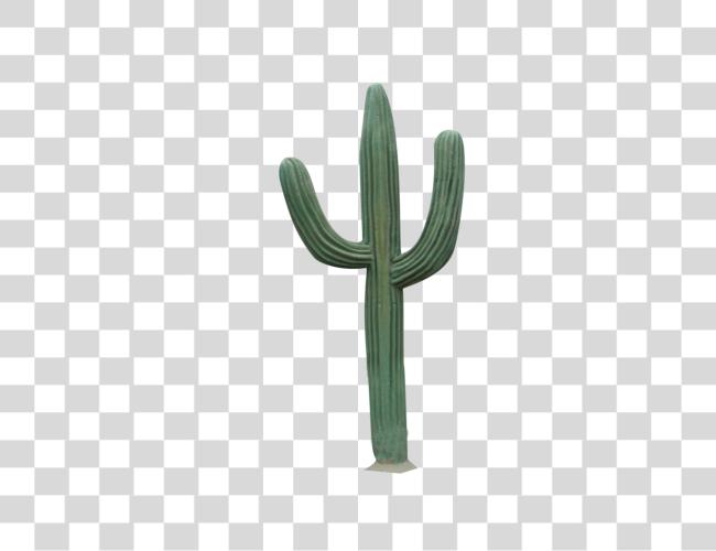 Download Cactus Care Tips for Saguaro and Succulent Plants Clip Art