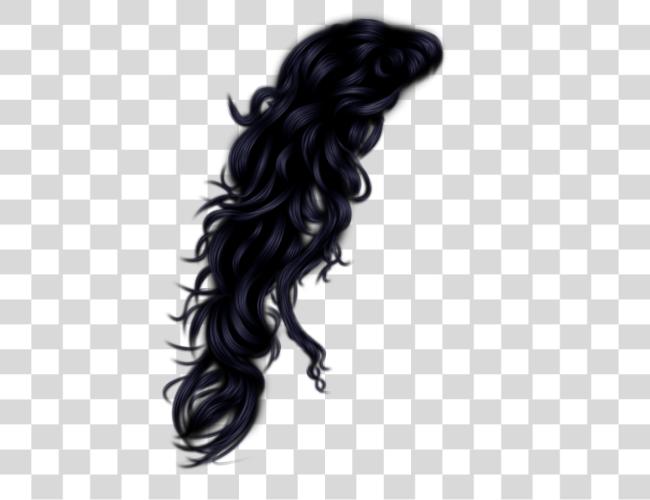 Download Hair Clip Art