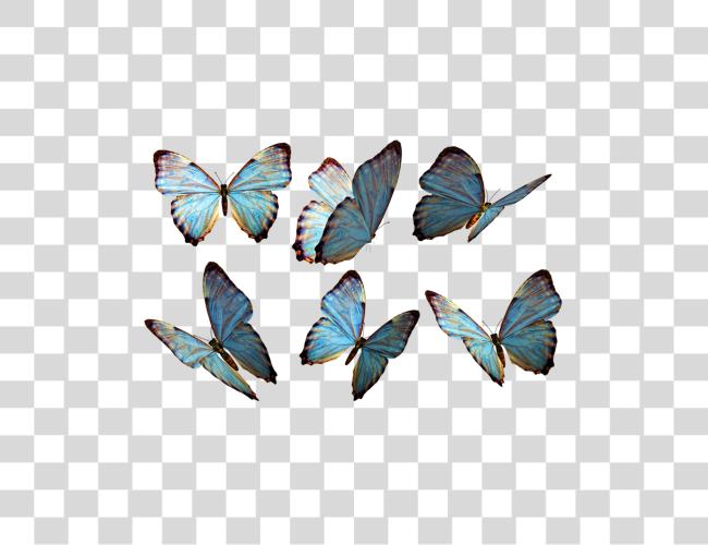 Download Blue Morpho Butterflies and Tropical Insects Clip Art