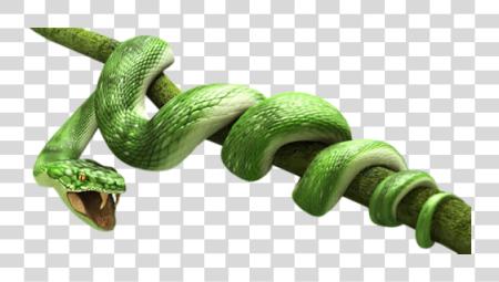 下载 Snake HighQuality PNG file