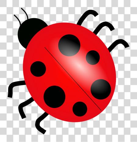 下载 Ladybug PNG file