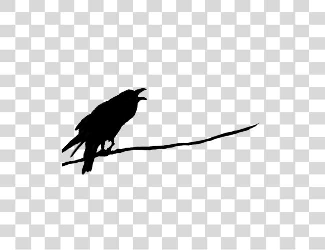 Download Raven Clip Art