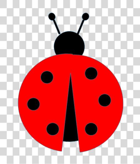 下载 Ladybug PNG file